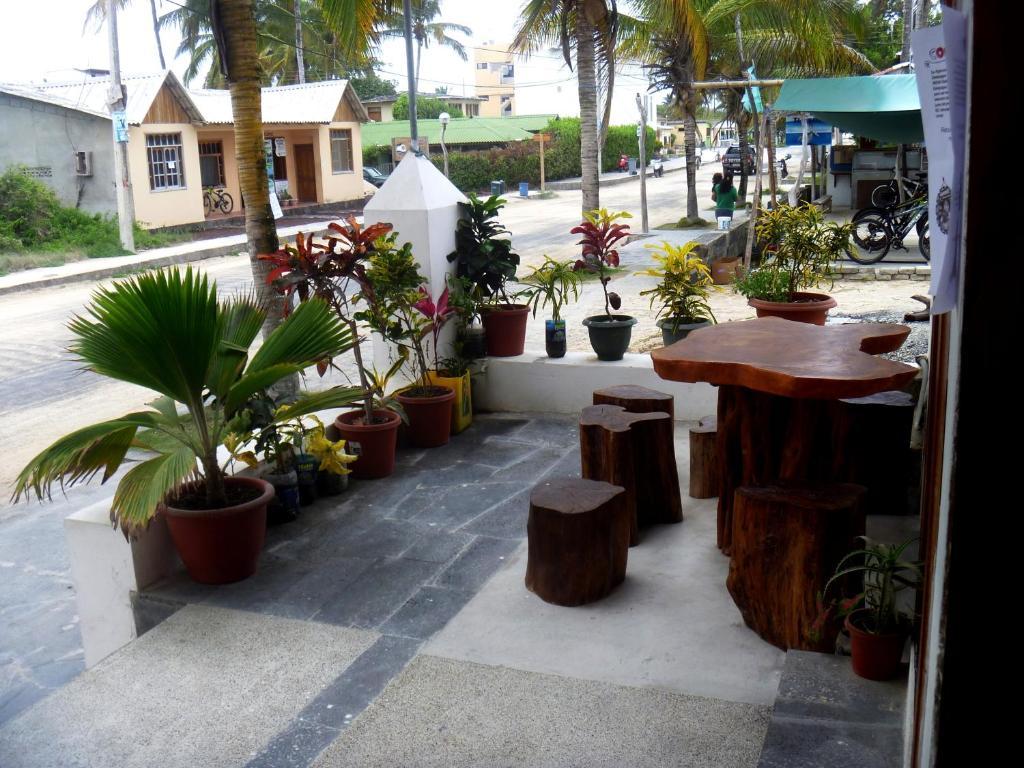 Hotel Casa Los Delfines Puerto Villamil Zewnętrze zdjęcie